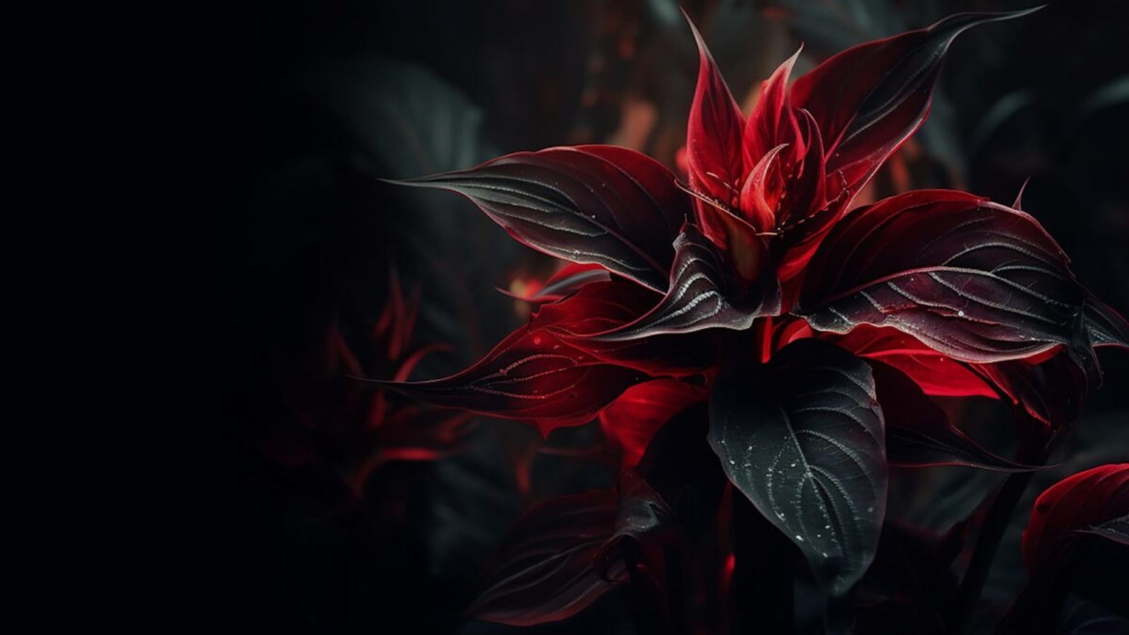 blog skin zinest 02 1200x800