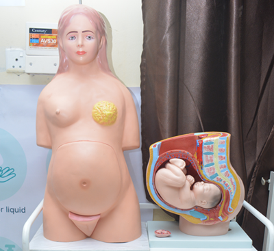 model of pregnancy at mch lab