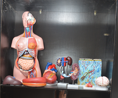 models at medsurg lab